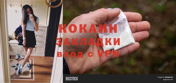 бошки Бронницы